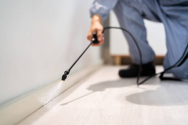 Licensed Pest Control service in Ringgold, LA - Show Me Pest Control